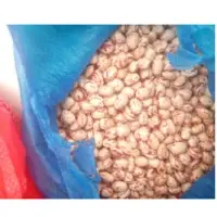Beans