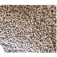 Beans (Chickpea)