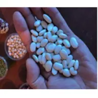 Beans