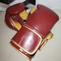 Boxing Gloves In Artificial Leather