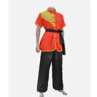 Kung Fu Uniform