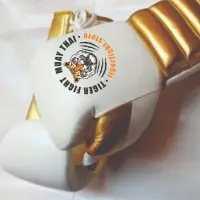 Boxing Glove