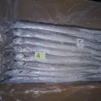 Frozen Ribbon Fish