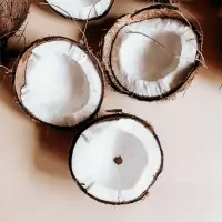Desiccated Coconut