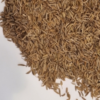 Caraway Seeds