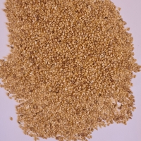 Egyptian Golden Sesame