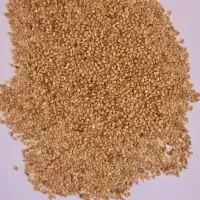 Egyptian Golden Sesame