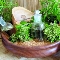 Sandalwood Essential Oil