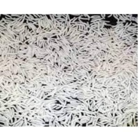 Golden Sella Basmati Rice