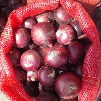 Onions