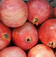 Pomegranate