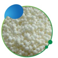CAN