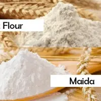 Maida 