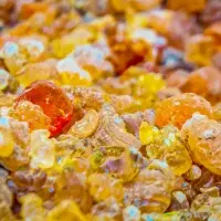 Gum Arabic (Acacia senegal)