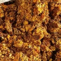 Opopanax Resin Gum (Commiphora guidotti)