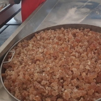 Gum Arabic (Acacia seyal)