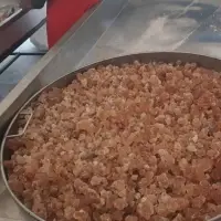 Gum Arabic (Acacia seyal)