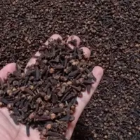 Dried Clove