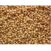 Bajra Seed