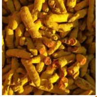 Turmeric Finger