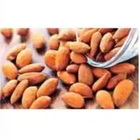 Fresh Almond