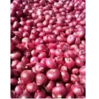 Red Onion