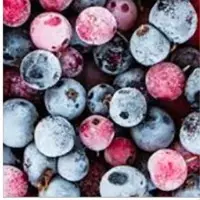 Frozen Food