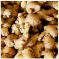 Fresh Ginger