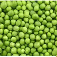 Green Pea