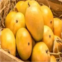 Fresh Mango