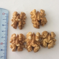 Walnut Kernel - Romania And Ukraine