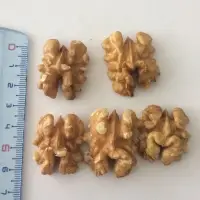 Walnut Kernel - Romania And Ukraine