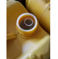 Palm Oil