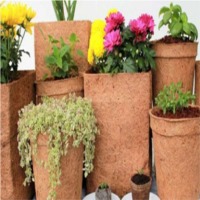 Coir Pots