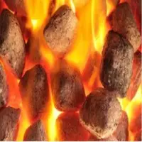 Barbecue Briquettes