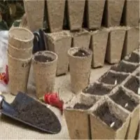 Coir Pots