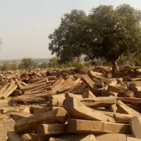 Apapa Wood And Kossowood/ Rosewood