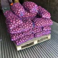 Red Onion