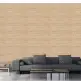 Ceramic Wall Tiles
