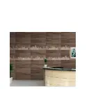 Ceramic Wall Tiles