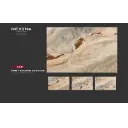 Porcelain Tiles
