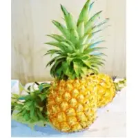Pineapples