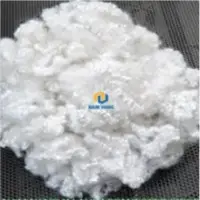 Hollow Conjugated Siliconized