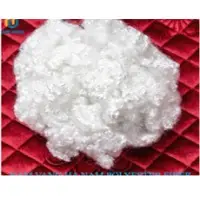 Hollow Conjugated Siliconized