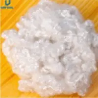 Hollow Conjugated Siliconized
