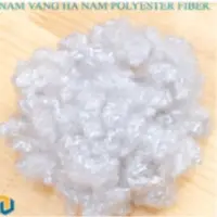 Hollow Conjugated Siliconized