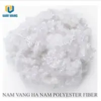 Hollow Conjugated Non-Siliconized