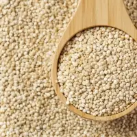 Quinoa