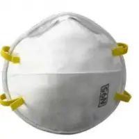 N95 Masks