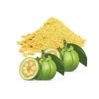 Garcinia Extract Hydroxy Citric Acid Salts